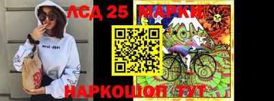 прущие крисы Будённовск