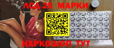 прущие крисы Будённовск