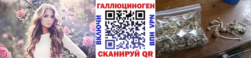 где продают наркотики  Звенигород  mega ONION  Галлюциногенные грибы MAGIC MUSHROOMS 